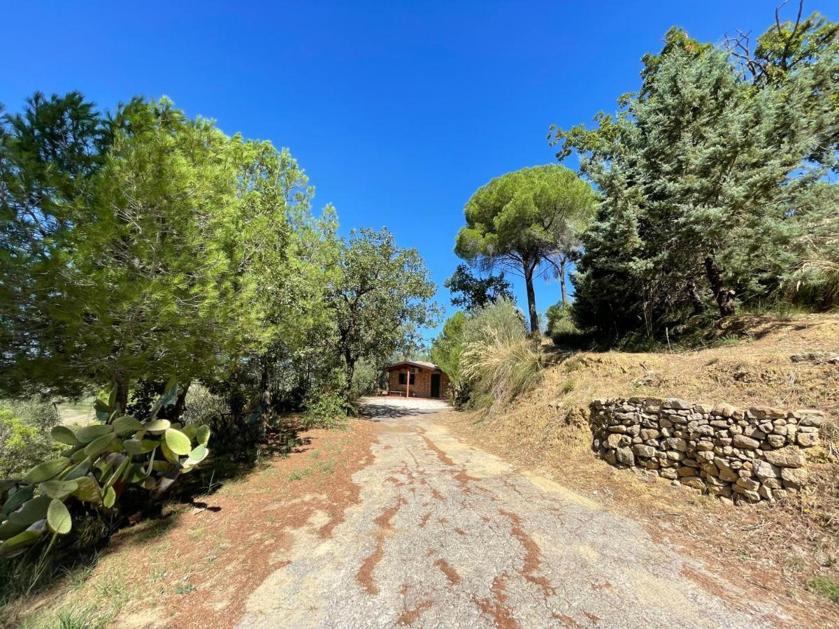 Wonderful House In The Heart Of Sicily Βίλα Πιάτσα Αρμερίνα Εξωτερικό φωτογραφία