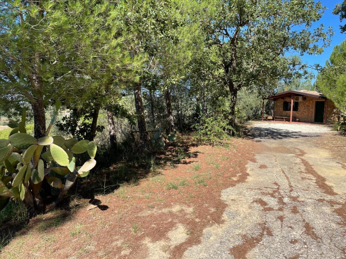Wonderful House In The Heart Of Sicily Βίλα Πιάτσα Αρμερίνα Εξωτερικό φωτογραφία